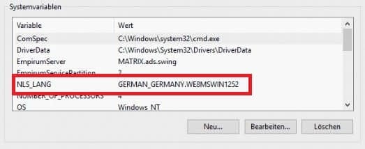 Oracle Instant Client NLS_LANG